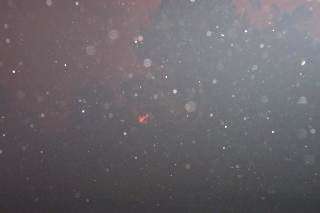 Up the street later.