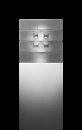 Encapsulated Encapsulated