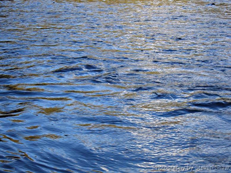 CRW_2291 