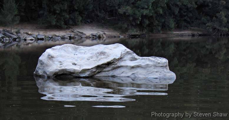 CRW_2298 