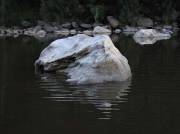 CRW_2302 